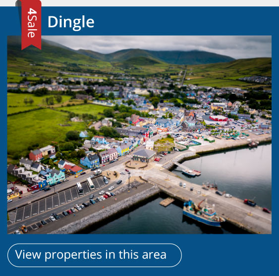 Dingle area photo